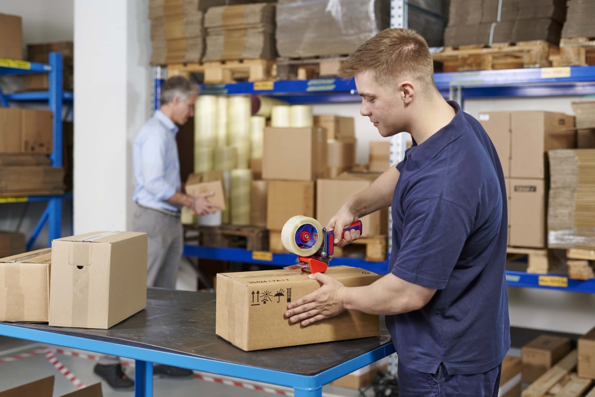 tesa® 6500 LowNoise, 50 mm Aufnahme, Geräuscharmer Packband Handabroller für Klebebänder bis 50 mm Breite