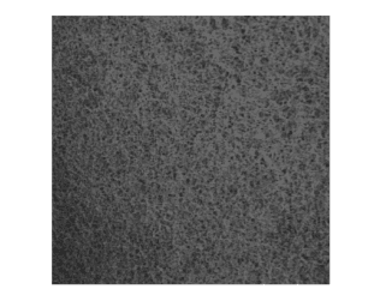 VSM SCHLEIFVLIES Handpad CV301 751136, 150 mm x 229 mm, P400, S, Sehr Fein, Ausführung (B), Grau, Faservlies Handpad mit Siliziumkarbid Korn für Reinigungs- und Finisharbeiten, Für Edelstahl und andere Werkstoffe